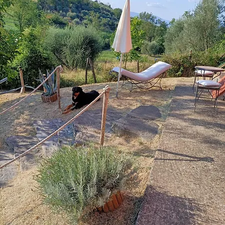 Intera Casa Con Giardino Apartment