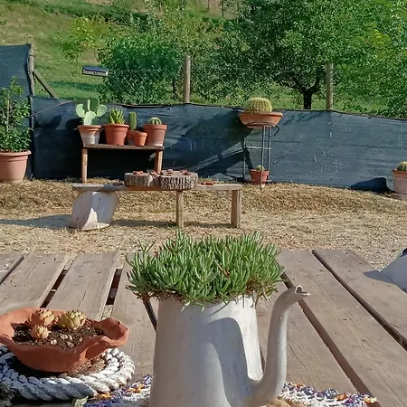 Intera Casa Con Giardino *
