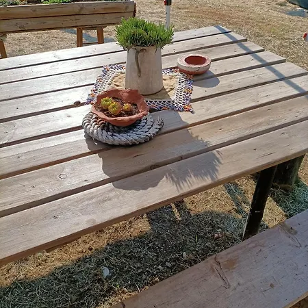 公寓 Intera Casa Con Giardino 斯坎迪奇