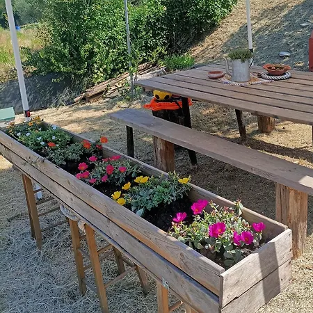 Intera Casa Con Giardino 斯坎迪奇